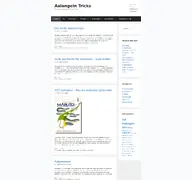 Kleine Seitenvorschau von aalangeln-tricks.de