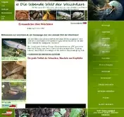 Kleine Seitenvorschau von weichtiere.at