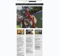 Kleine Seitenvorschau von sfs-archery.de