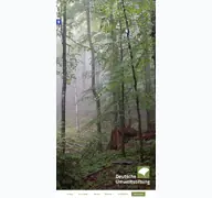 Kleine Seitenvorschau von deutscheumweltstiftung.de