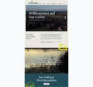 Kleine Seitenvorschau von gut-gollin.de