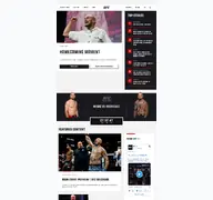 Kleine Seitenvorschau von ufc.com