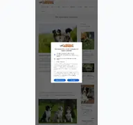 Kleine Seitenvorschau von myaustralianshepherd.de