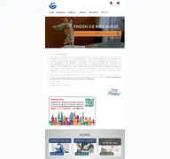 Kleine Seitenvorschau von dgmm-aemm.de