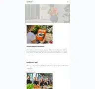 Kleine Seitenvorschau von my-gillet.de
