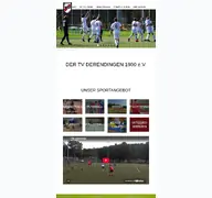 Kleine Seitenvorschau von tvderendingen.de