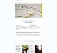 Kleine Seitenvorschau von academy4excellence.de