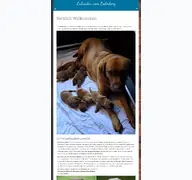Kleine Seitenvorschau von labrador-vom-loderberg.de