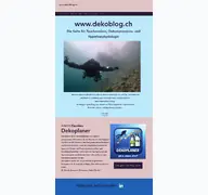 Kleine Seitenvorschau von dekoblog.ch