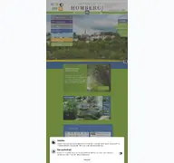 Kleine Seitenvorschau von homberg.de