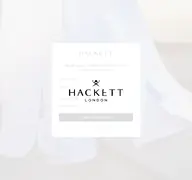 Kleine Seitenvorschau von hackett.com