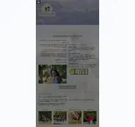 Kleine Seitenvorschau von natuerlich-zu-pferd.de