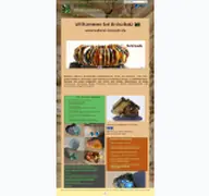 Kleine Seitenvorschau von natural-minerals.de