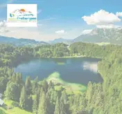 Kleine Seitenvorschau von naturbad-freibergsee.de