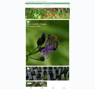 Kleine Seitenvorschau von naturgarten-samen.de