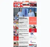 Kleine Seitenvorschau von tsg-ah.de