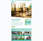 Kleine Seitenvorschau von tsv-gruenwald.de