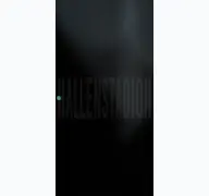 Kleine Seitenvorschau von hallenstadion.ch