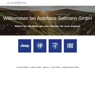 Kleine Seitenvorschau von autosellmann.de