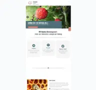 Kleine Seitenvorschau von digitales-bueromanagement.de