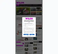 Kleine Seitenvorschau von wilih.de
