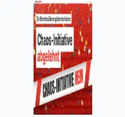 Kleine Seitenvorschau von nein-chaos.ch