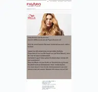 Kleine Seitenvorschau von figaro-dresden.de