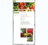 Kleine Seitenvorschau von xn--grtnerei-riede-5hb.de