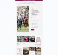 Kleine Seitenvorschau von shop.delightful-riding.de