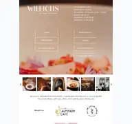 Kleine Seitenvorschau von willichs-mainz.de