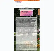 Kleine Seitenvorschau von kurparkfest-bza.de