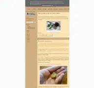 Kleine Seitenvorschau von neuesausdergotik.blogspot.de