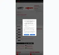 Kleine Seitenvorschau von wissports.net