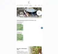 Kleine Seitenvorschau von neu.kina.ekir.de