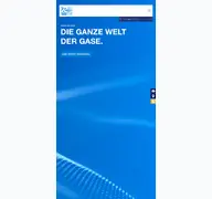 Kleine Seitenvorschau von riessner.de