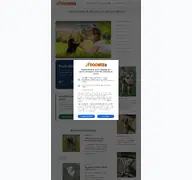 Kleine Seitenvorschau von dogweb.de