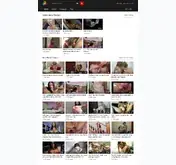 Kleine Seitenvorschau von scarletwhisper.com