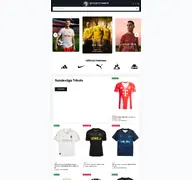 Kleine Seitenvorschau von sportiger.de