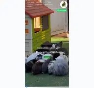 Kleine Seitenvorschau von hoppel-im-glueck.de