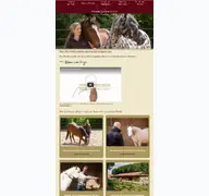 Kleine Seitenvorschau von horsecompetence.de