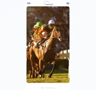 Kleine Seitenvorschau von horsegym.de