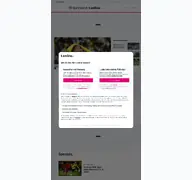Kleine Seitenvorschau von dortmund.t-online.de