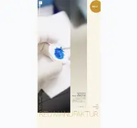 Kleine Seitenvorschau von fritz-reu.de