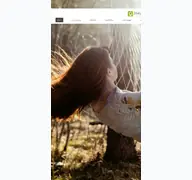 Kleine Seitenvorschau von waldcamping-brombach.de