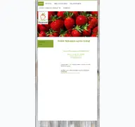Kleine Seitenvorschau von zimmermann-erdbeeren.de