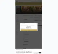 Kleine Seitenvorschau von bjs-pizza.de