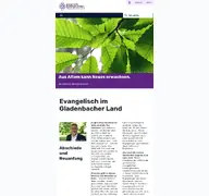 Kleine Seitenvorschau von evangelisch-im-gladenbacher-land.ekhn.de