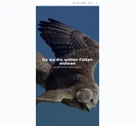 Kleine Seitenvorschau von dawodiewildenfalkenwohnen.de