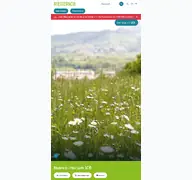 Kleine Seitenvorschau von riederich.de