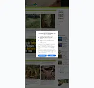 Kleine Seitenvorschau von brasilienportal.ch